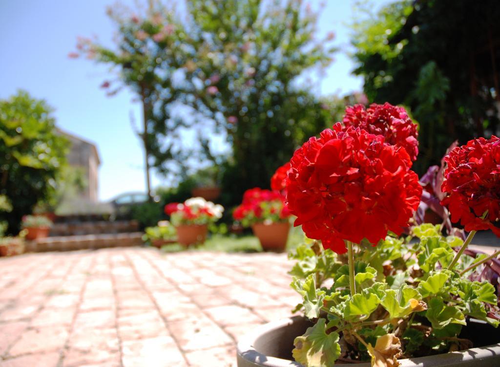 Corte Bussari Arquà Polesine Dış mekan fotoğraf
